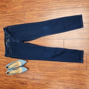 Banana Republic Skinny Fit Regular Blue Jeans Size 30/10R
